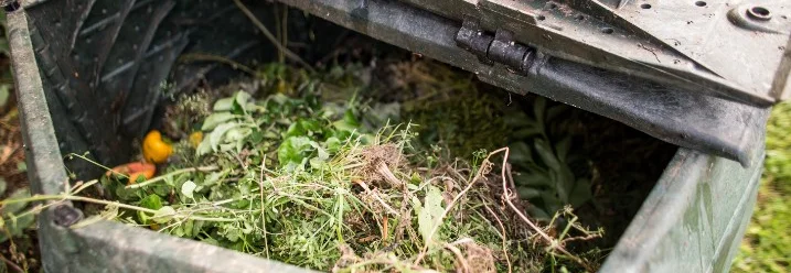 Komposthaufen im Garten